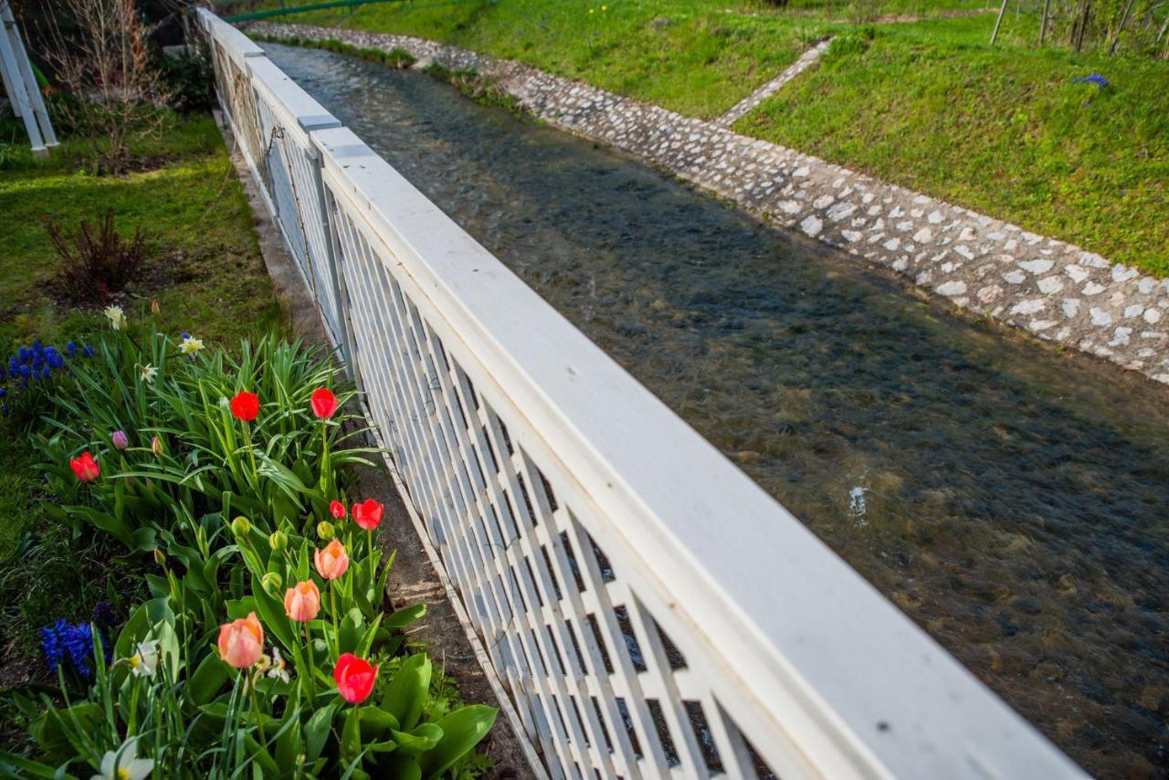 Riverside Apartman**** Miskolc Exterior foto